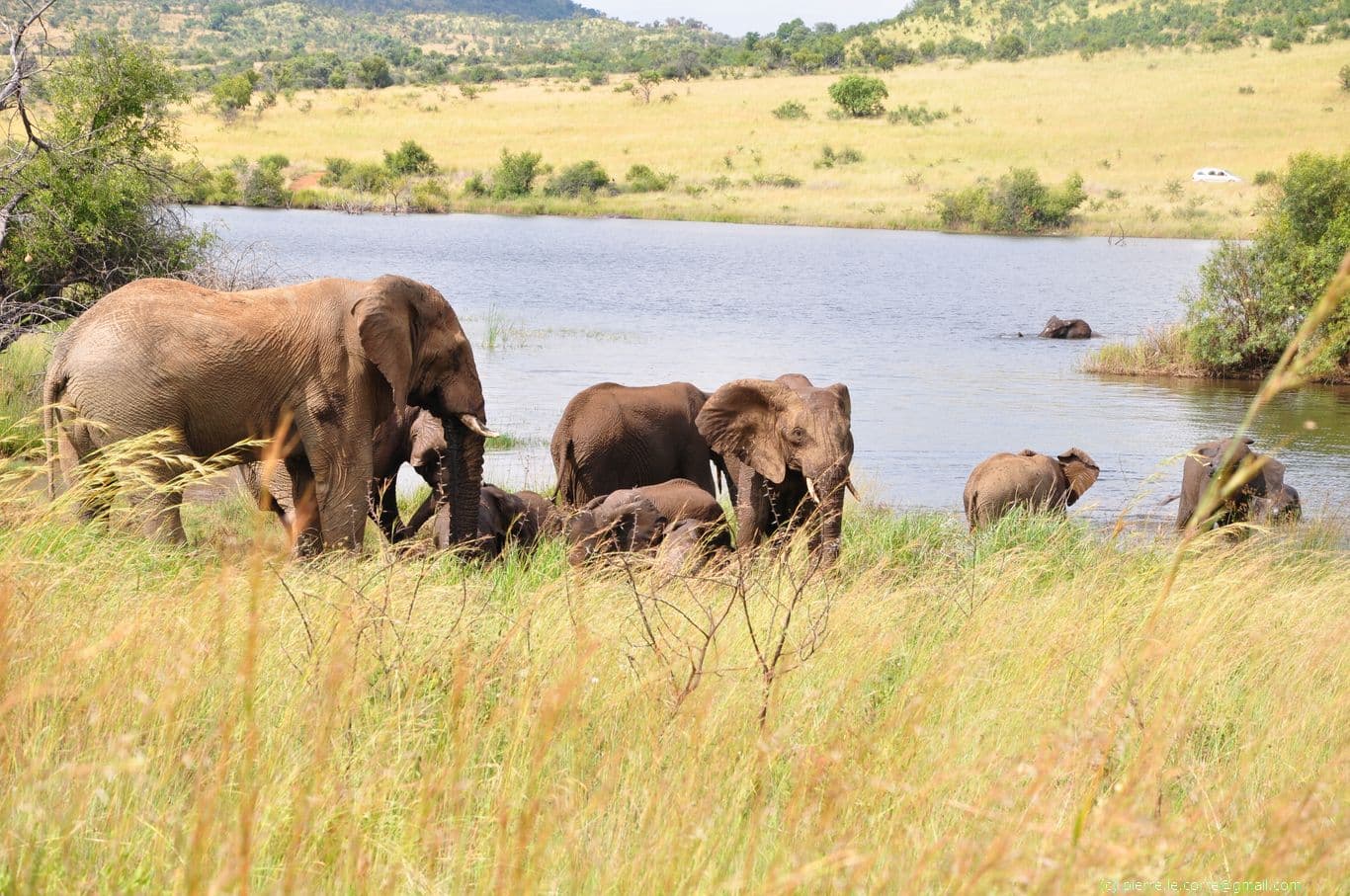 Pilanesberg NP en 4x4