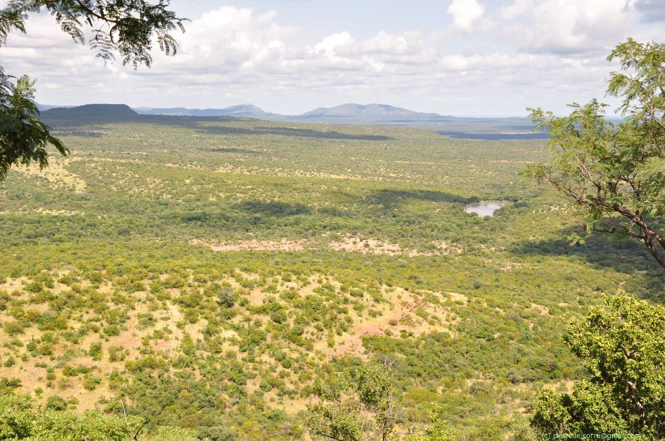 Paysage du Marakele NP