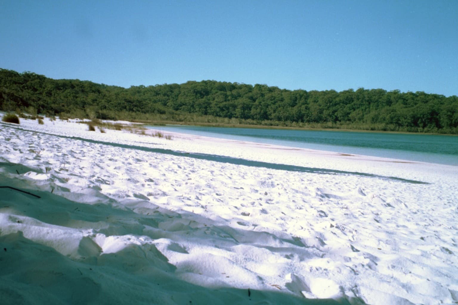 île Fraser, côte orientale du Queensland