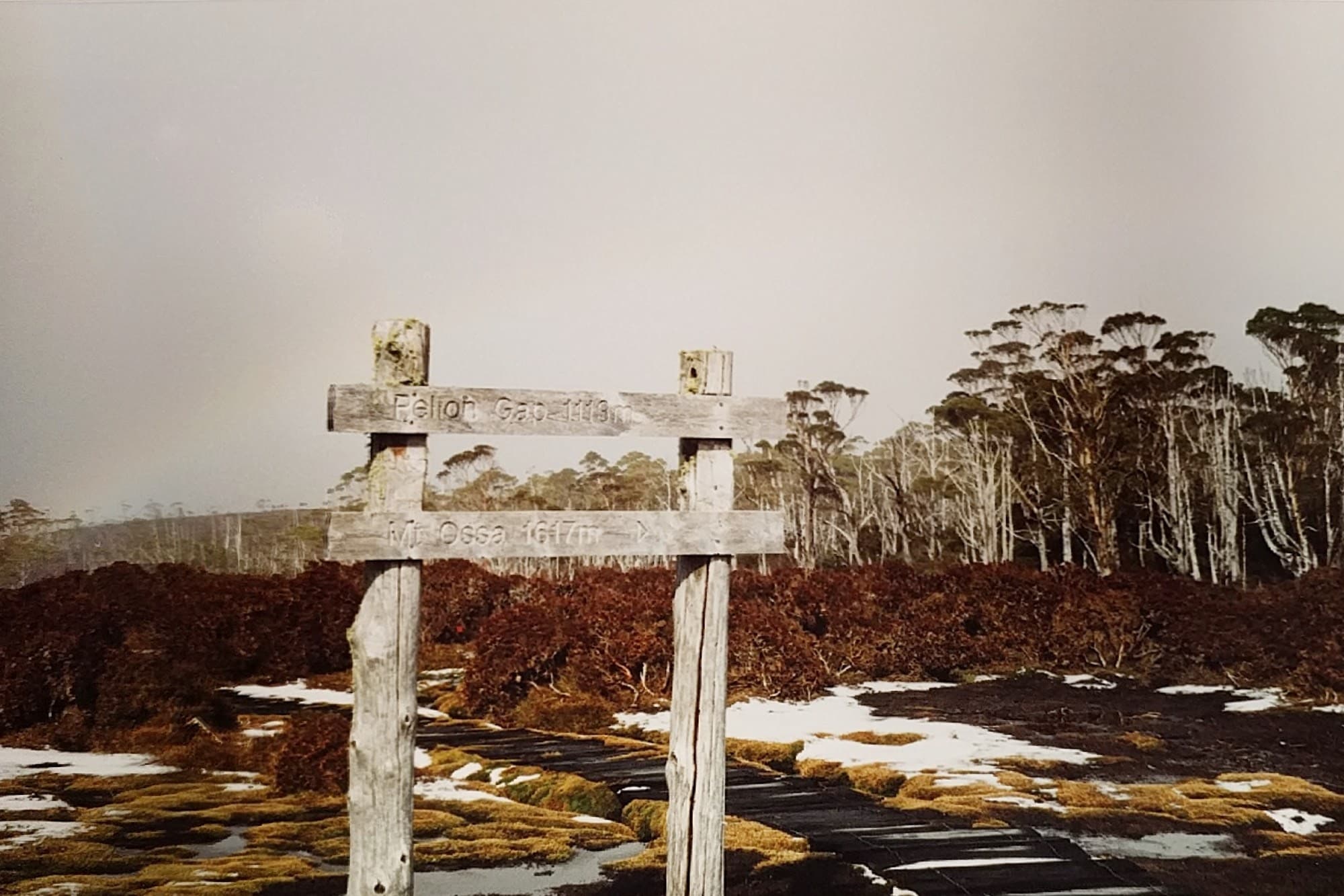Marche sur le sentier de l'Overland Track
