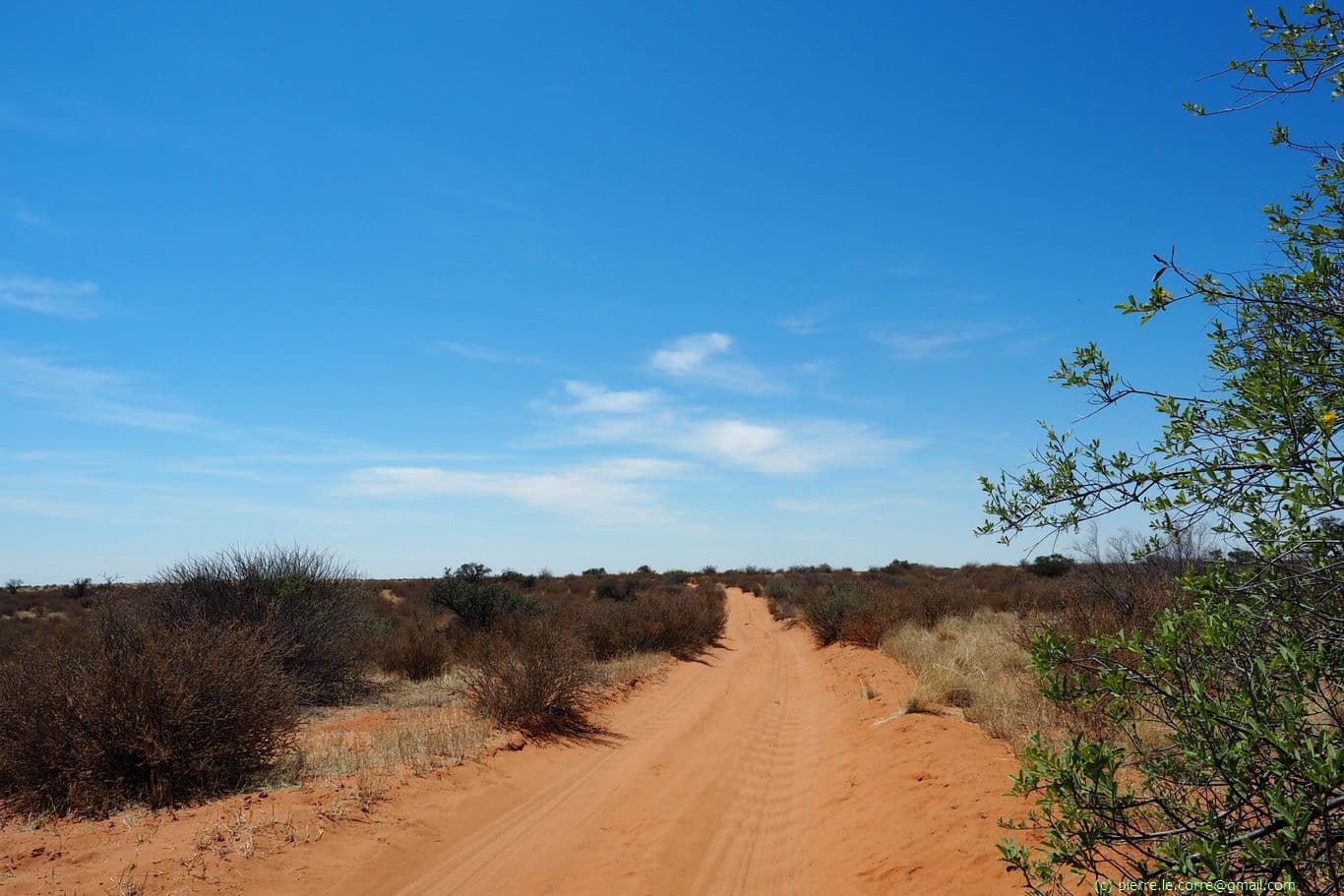 Red sand track on the Botswana side