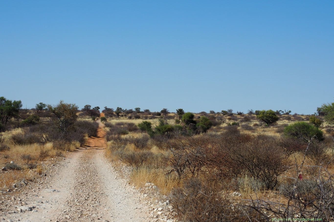 Track near a section