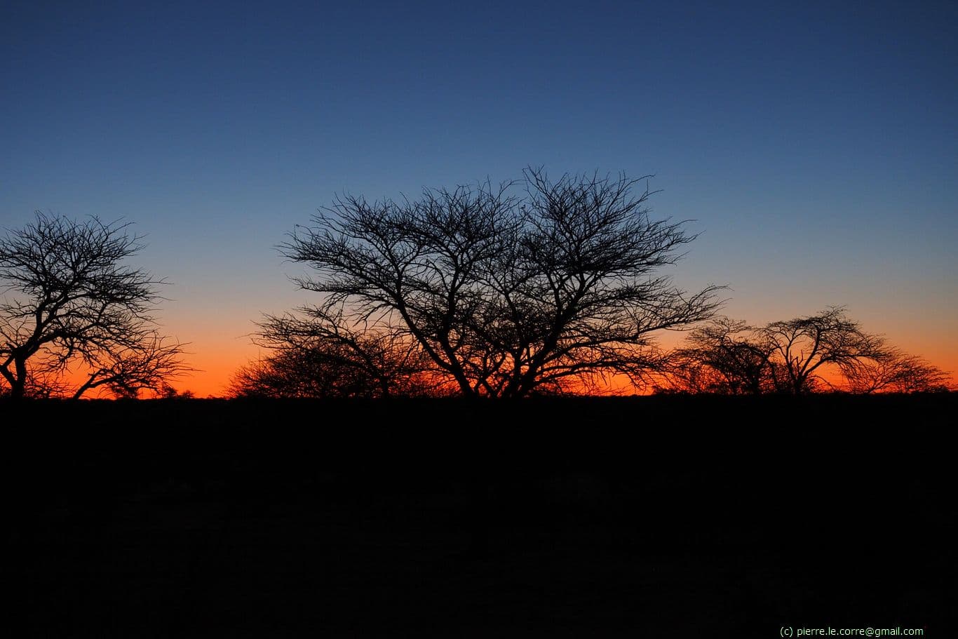 Mabuasehube Sunset #1