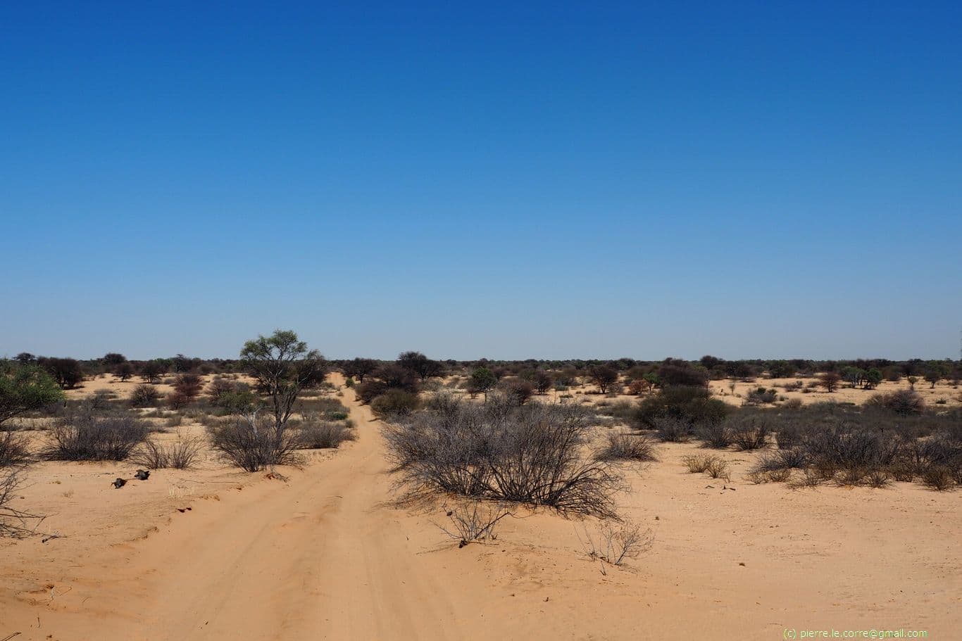 Sand track