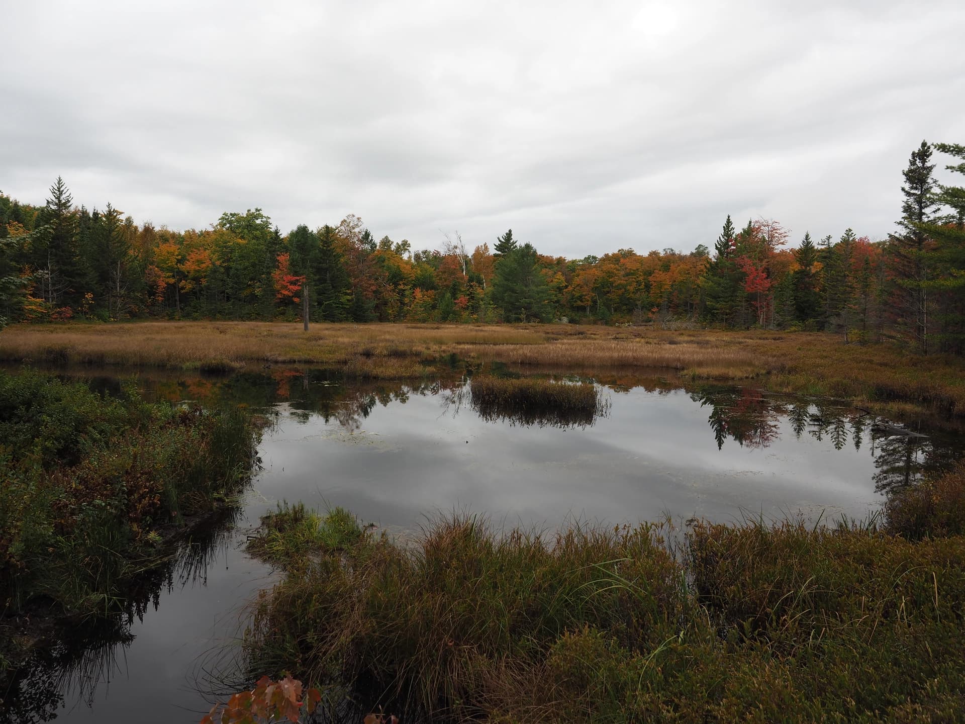 Gatineau Park - Le sentier des Loups