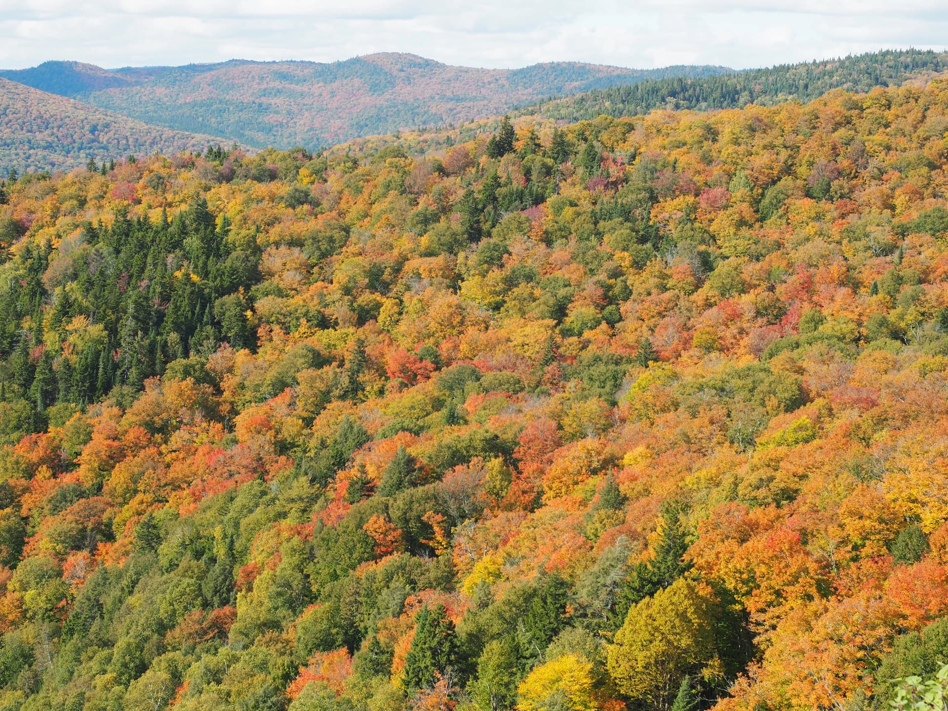 Parc national du Mont-Tremblant, Randonnée de la Roche