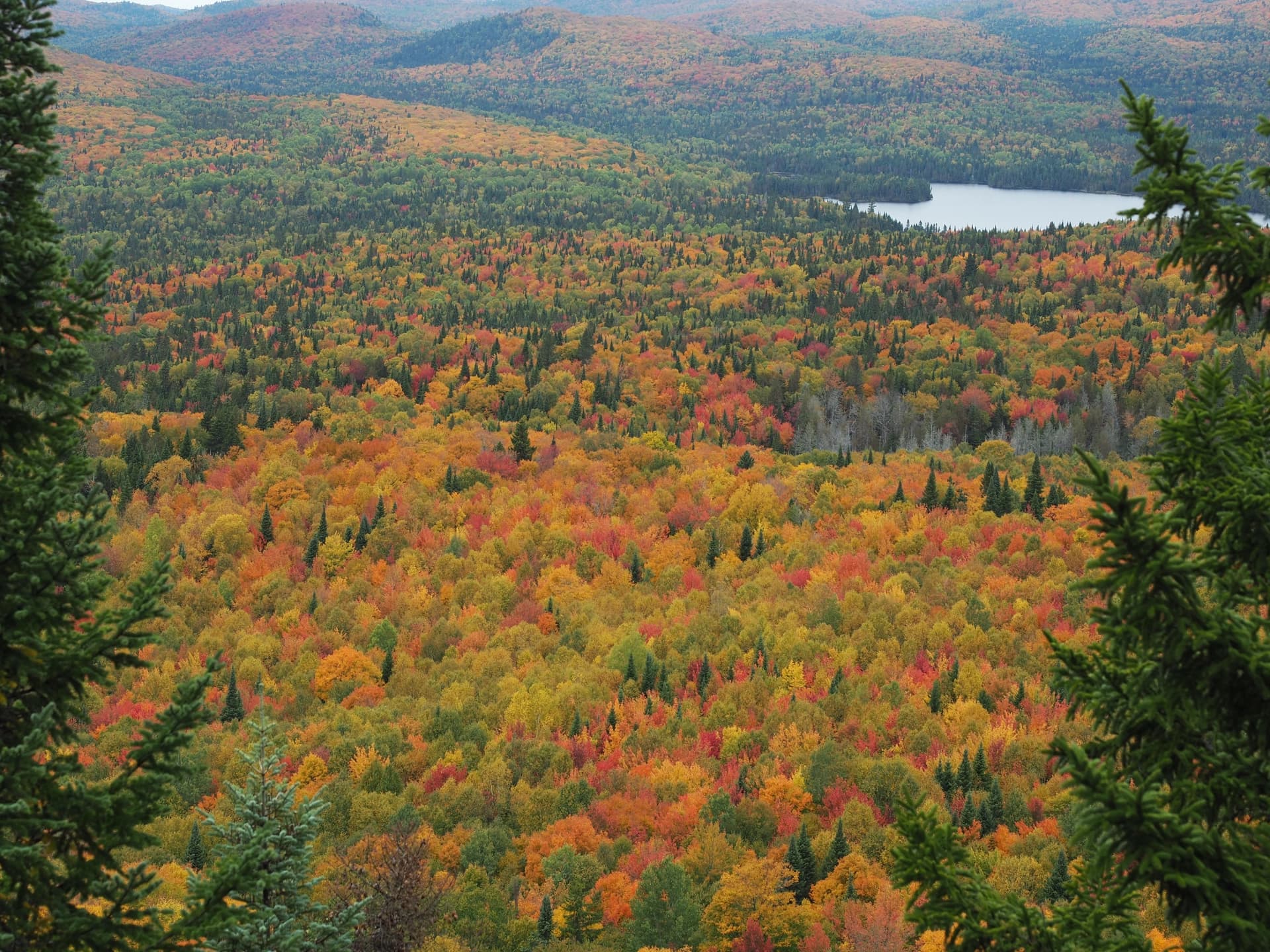 Parc national du Mont-Tremblant, Sentier Les Grandes Vallées (2h)