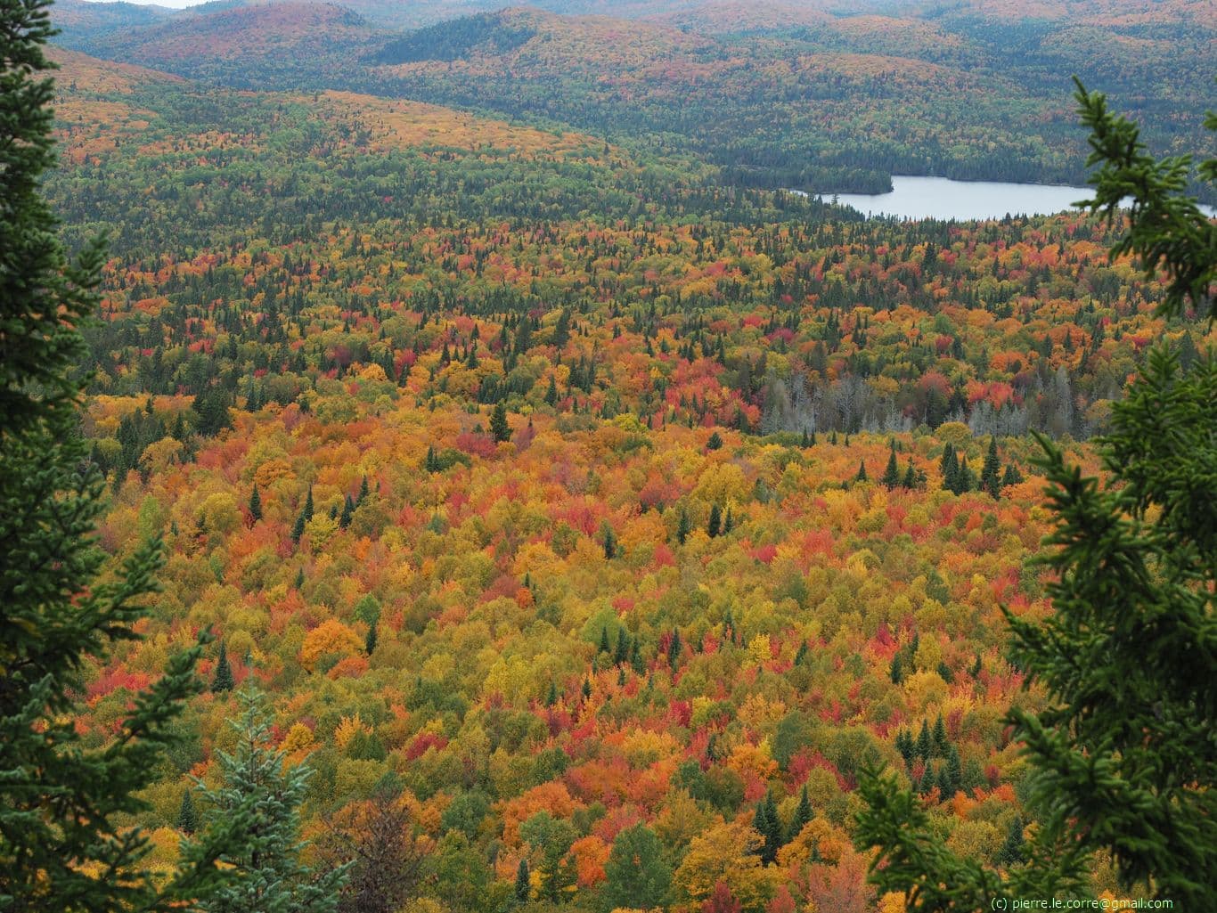 Le Québec et ses couleurs d'automnes