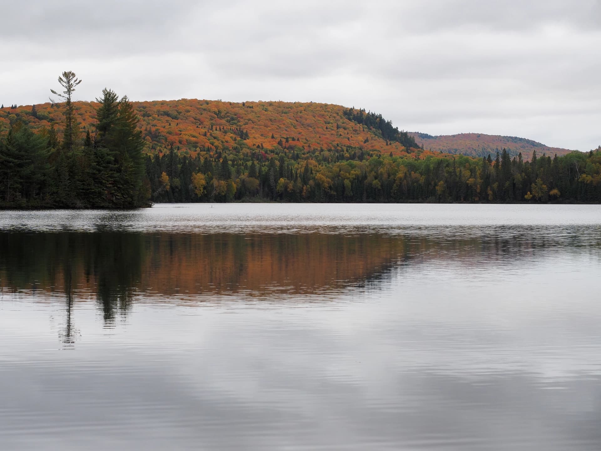 Parc national du Mont-Tremblant, lac de l'Assomption