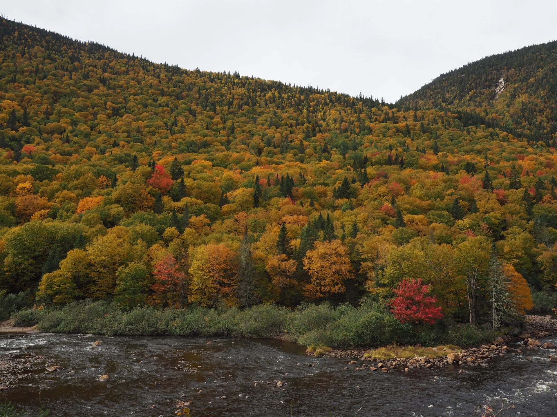 Parc de la Jacques Cartier, Sentier des Loups