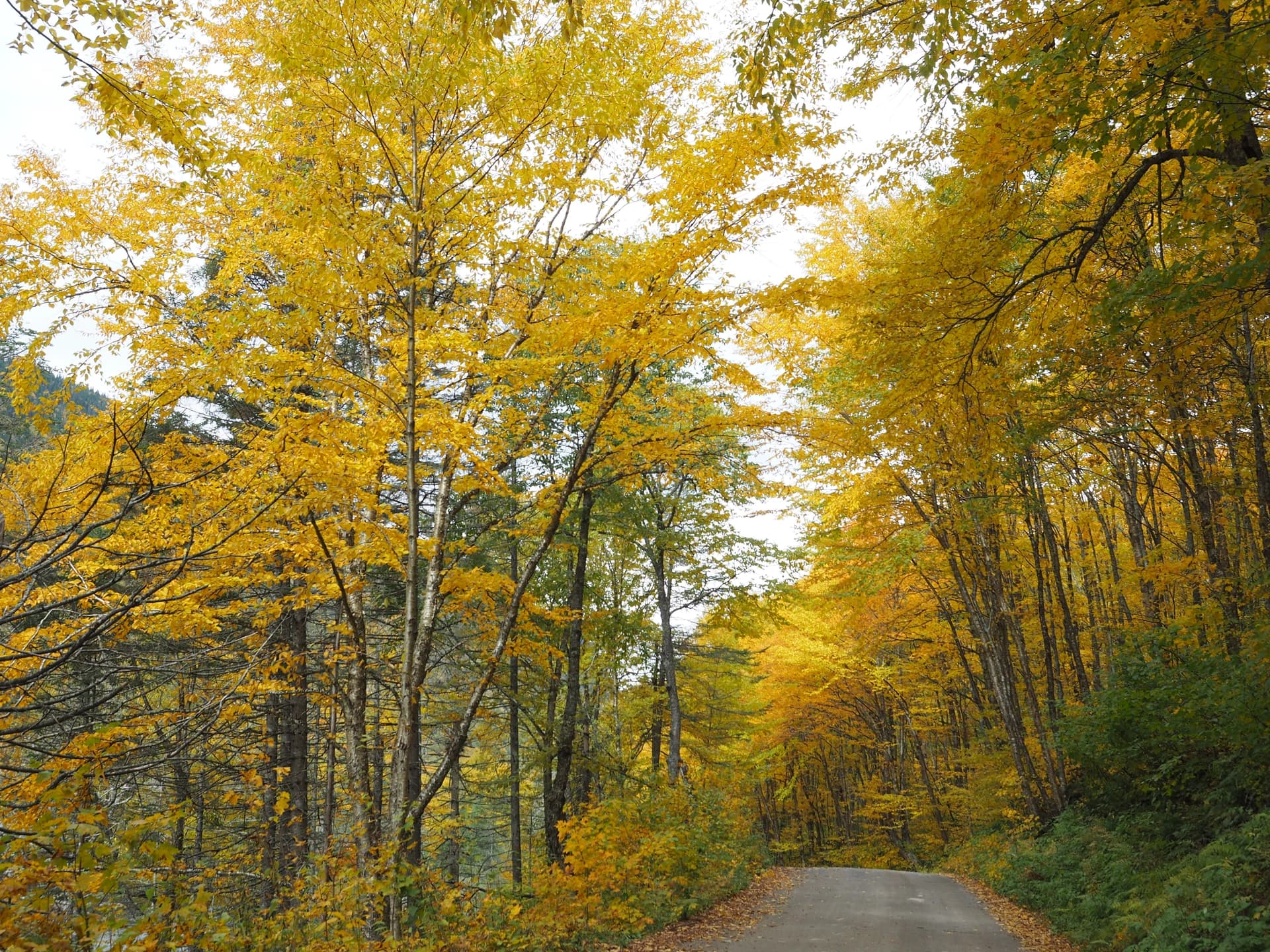 Jacques Cartier Park, trail