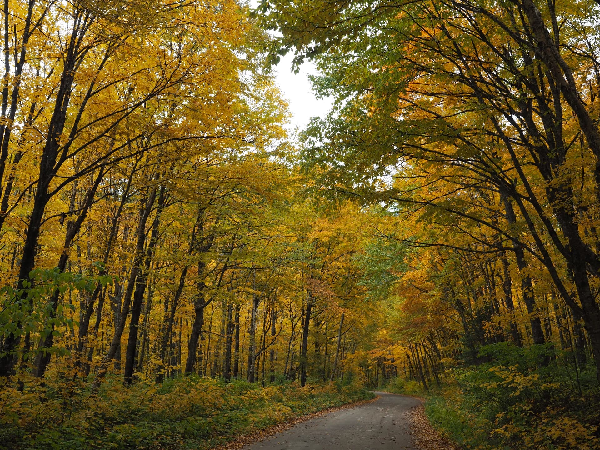 Jacques Cartier Park, trail