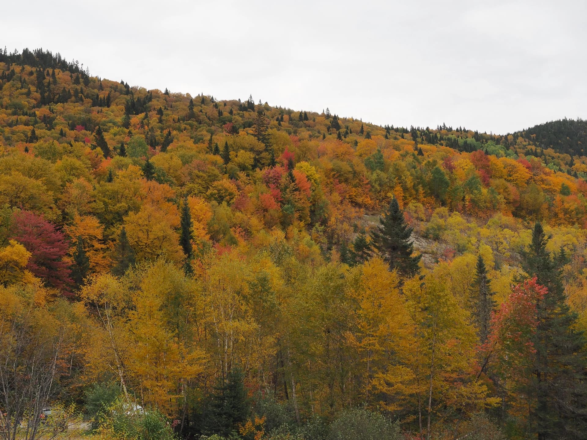 Parc de la Jacques Cartier, Sentier Le Perdreaux