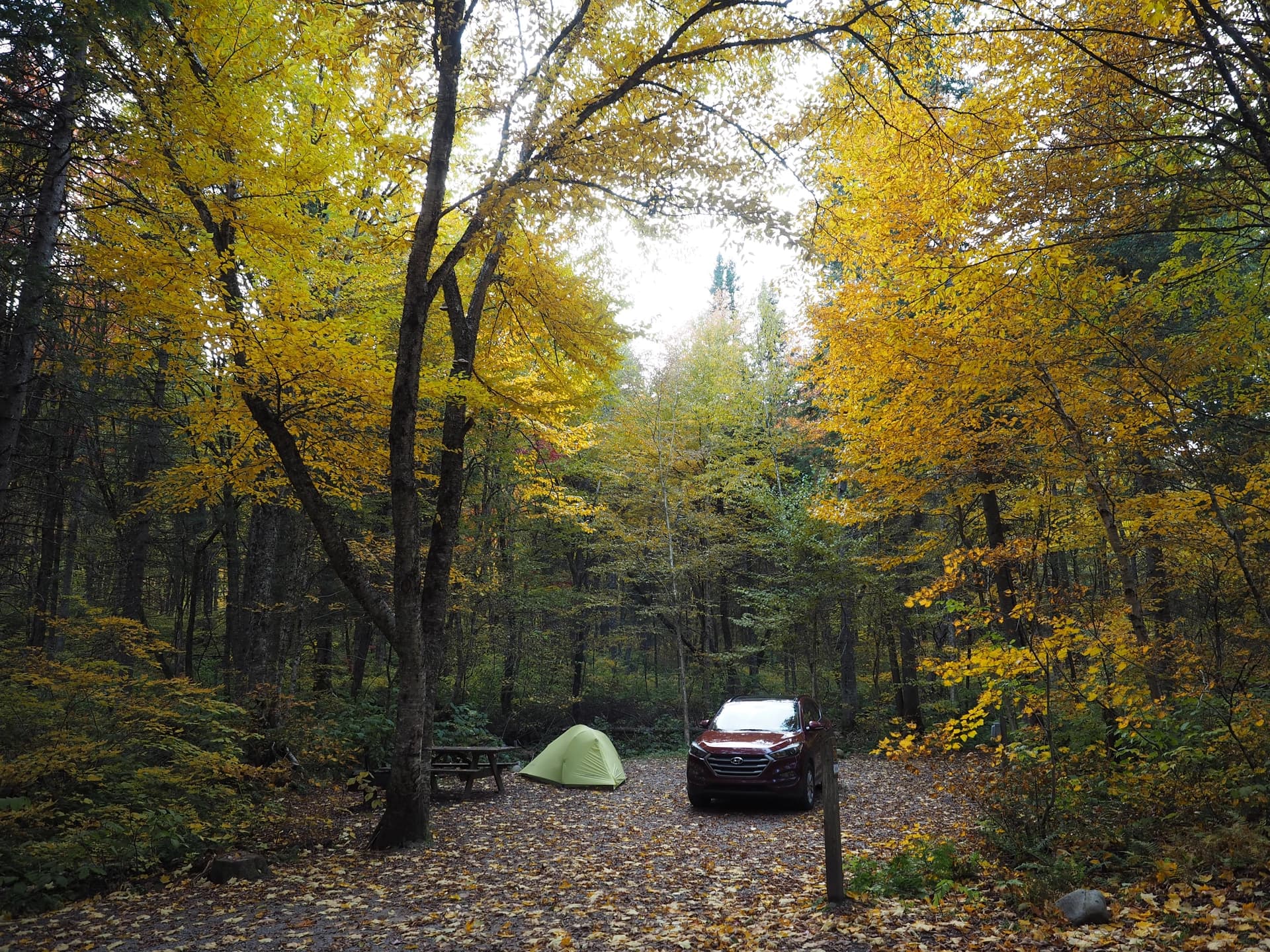 Parc de la Jacques Cartier, campement