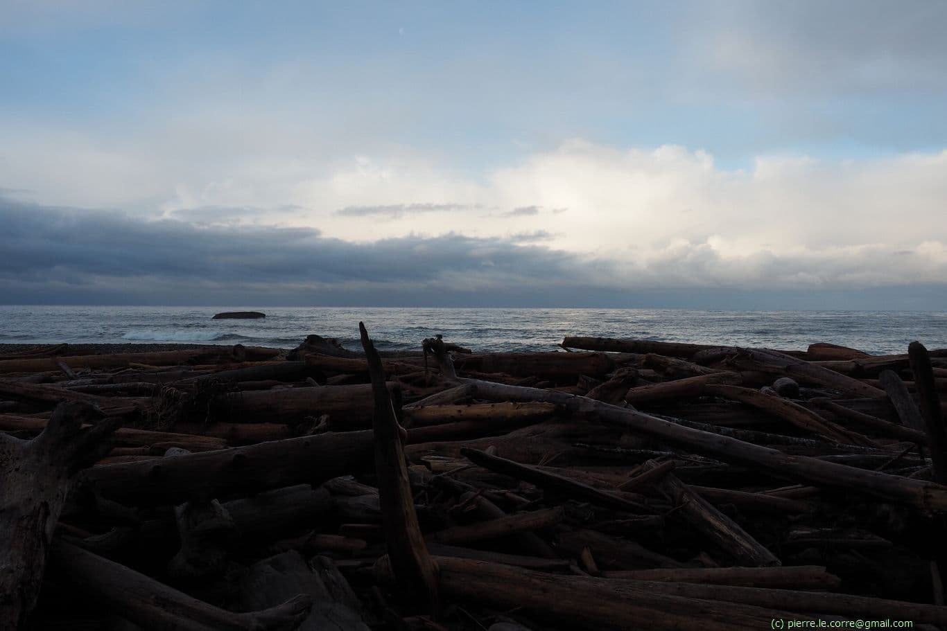 Dernières lueurs du jour sur la plage encombrée de bois flotté