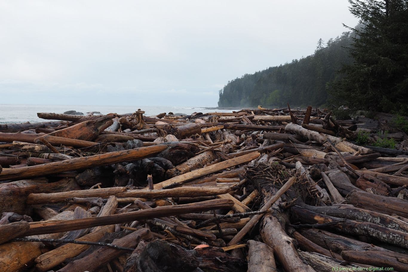 Escalade des amas de bois flotté pour continuer sur le sentier de la Côte Ouest