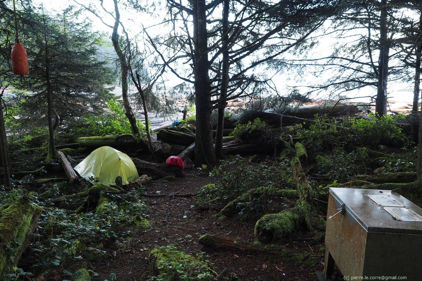 Campement sous la pluie à Cribs creek (boite anti-ours à droite)