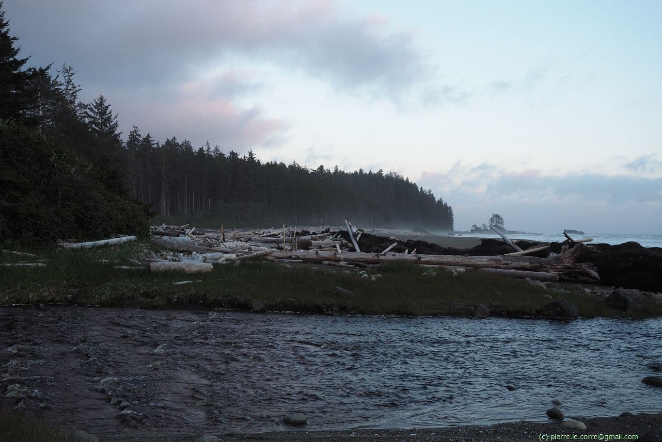 Rivière à traverser pour attendre la plage encombré de bois flotté