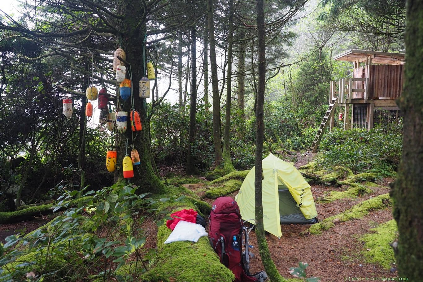 Campement de Cribs creek avec mon spot humide