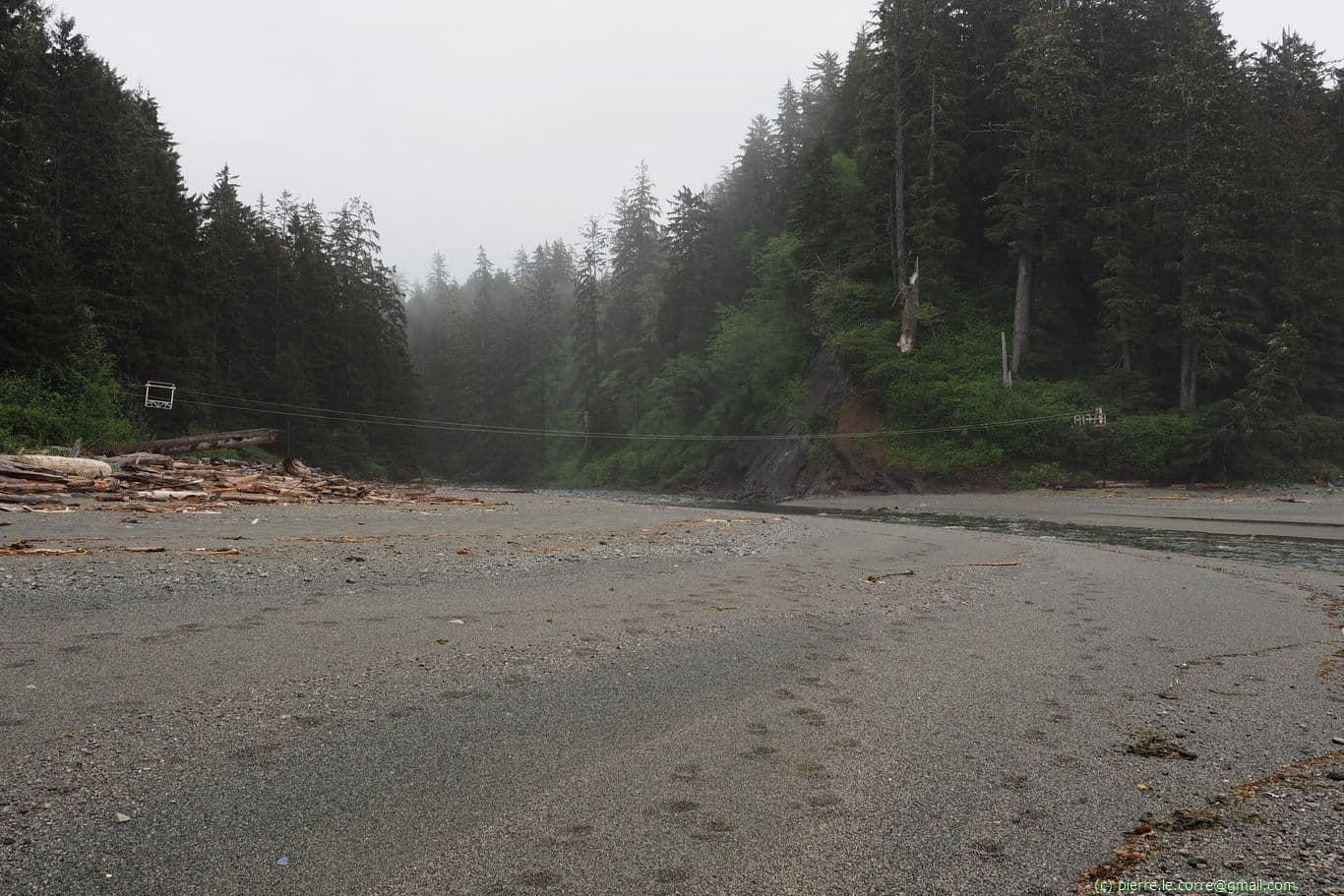 Tyrolienne de Carmanah Creek pour passer à marée haute