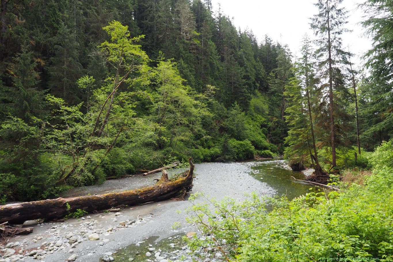 Rivière sur le le sentier de la Côte Ouest