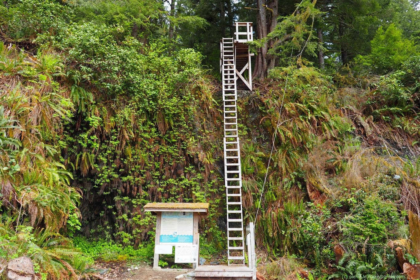 Dernière échelle avant Gordon River et le traversier