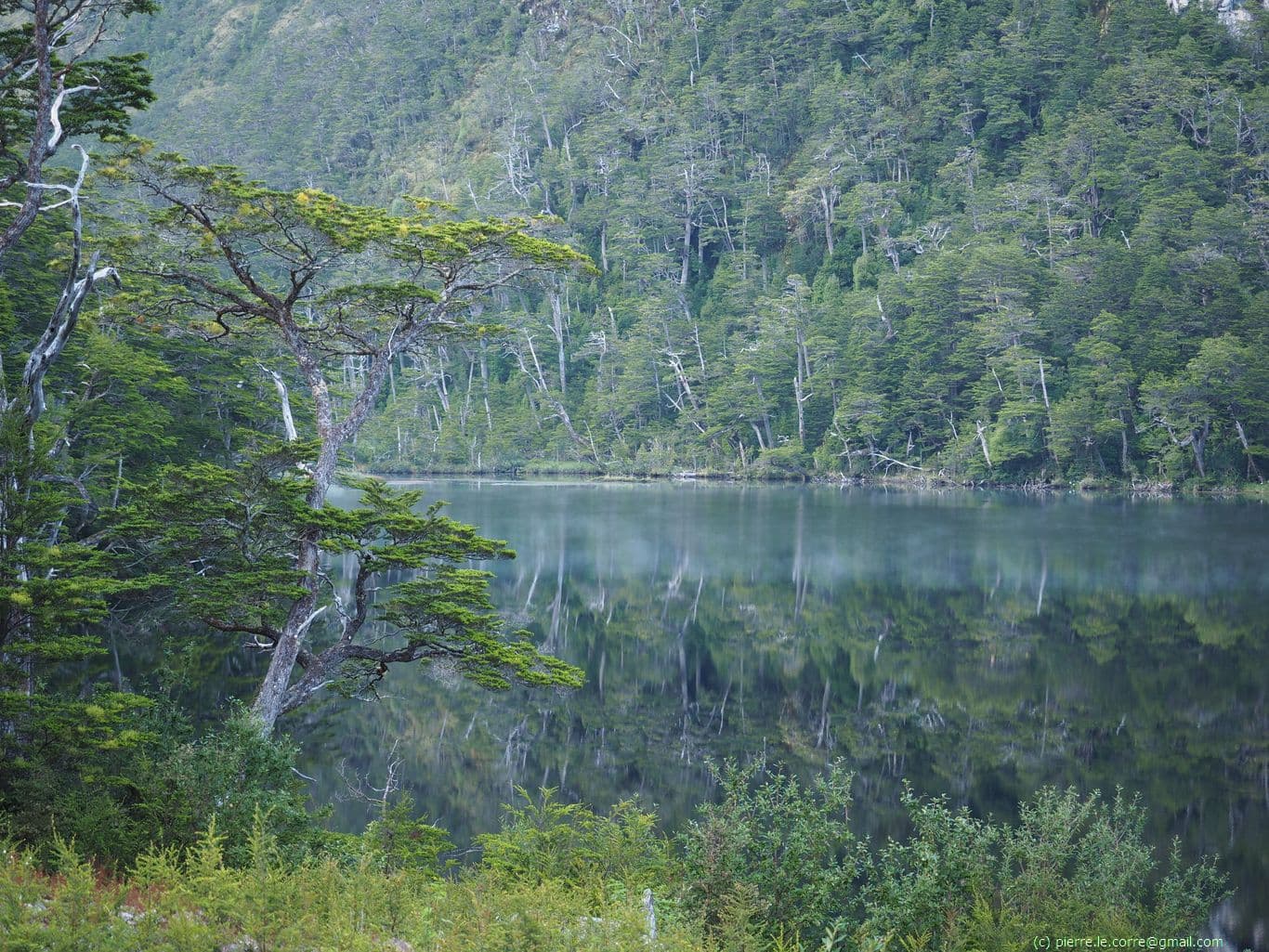 Chili et Carretera Austral - Route 7