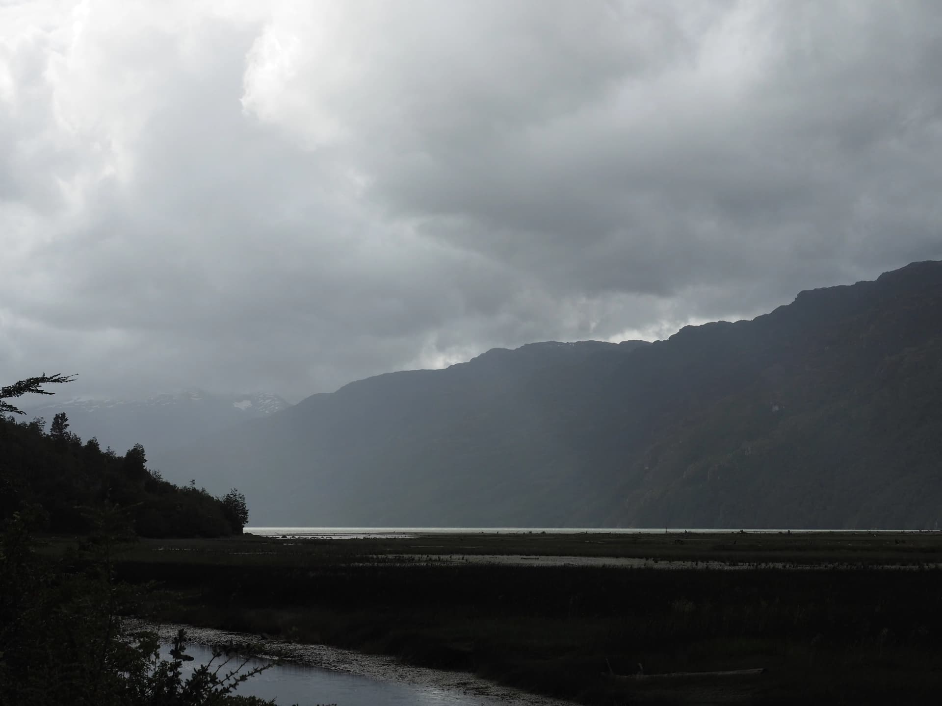 Zone marécageuse d'un lac avec peu de lumière