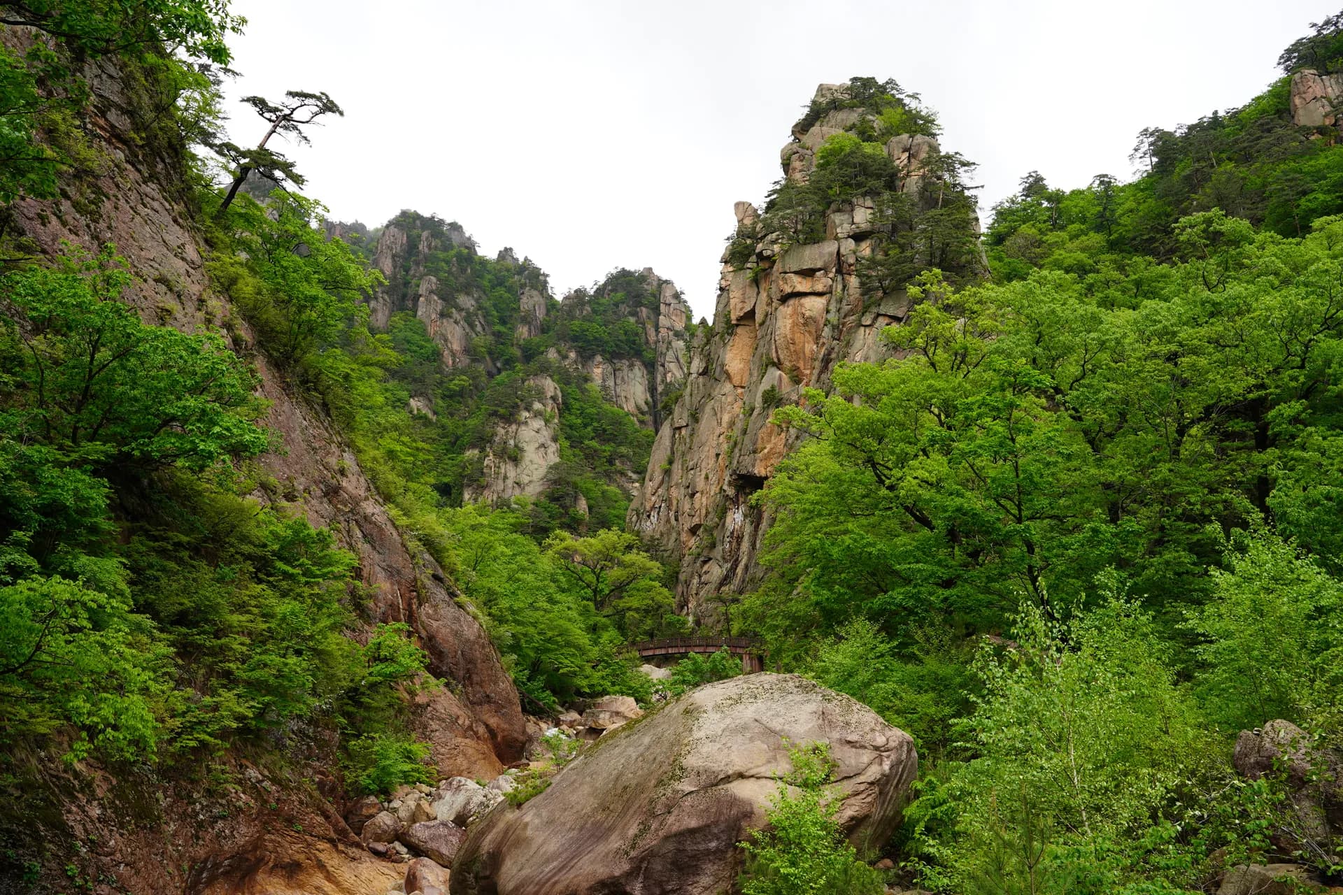 Mardi matin : petite randonnée dans le sud du parc national Seroaksan