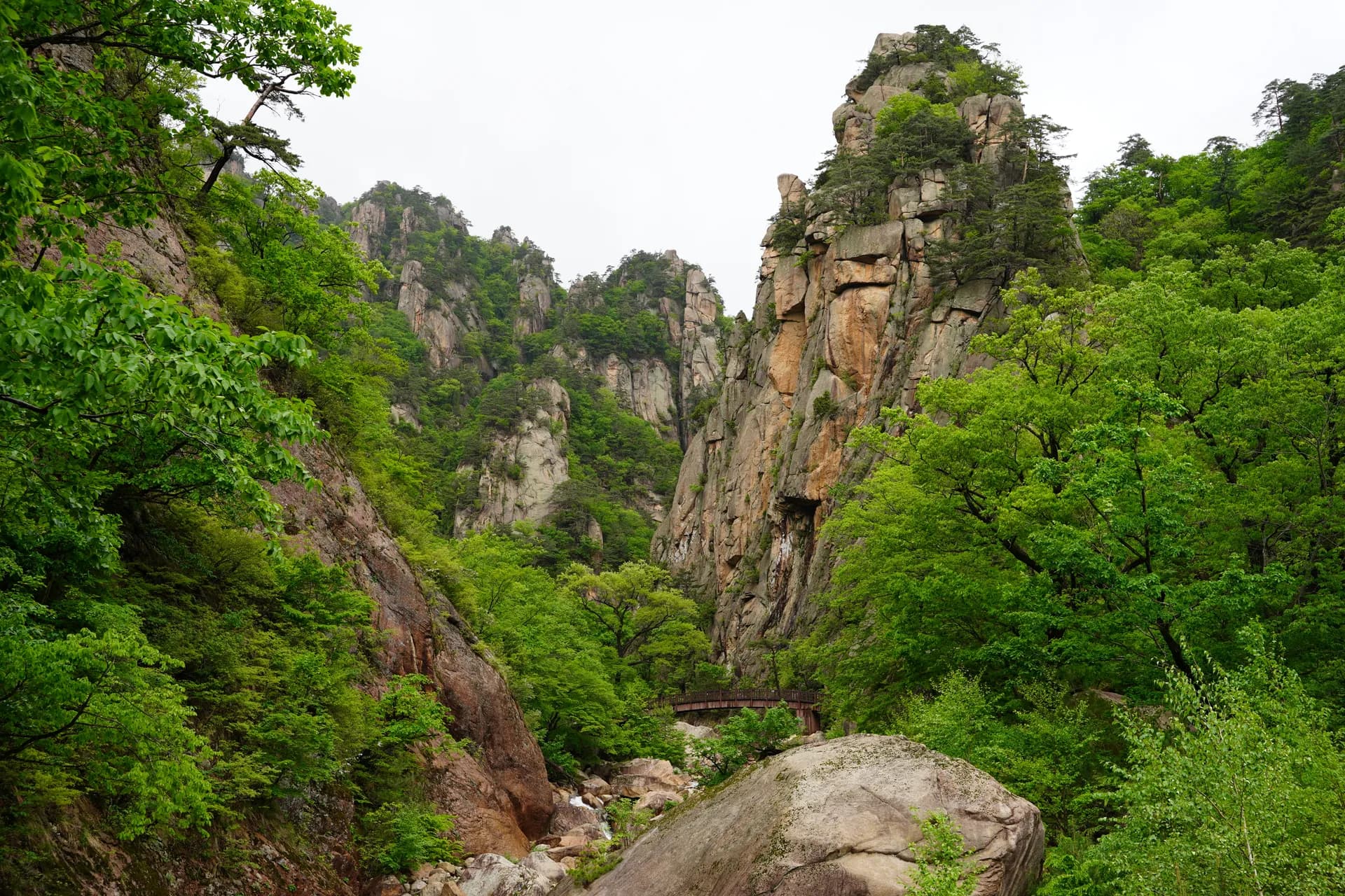 Mardi matin : petite randonnée dans le sud du parc national Seroaksan