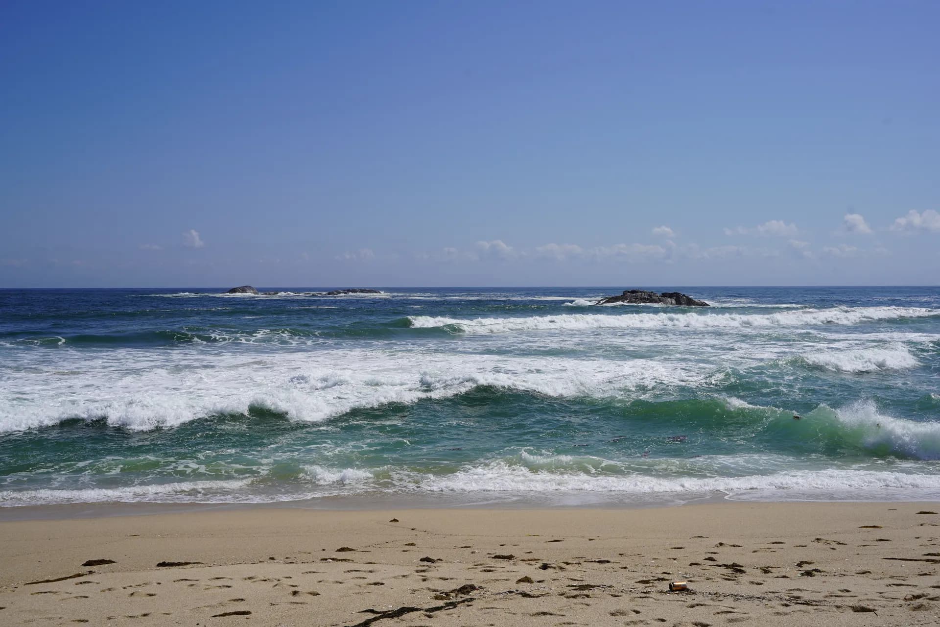 Marche le long de la plage abritée de pins à Gangneung avec une mer vagues agitée