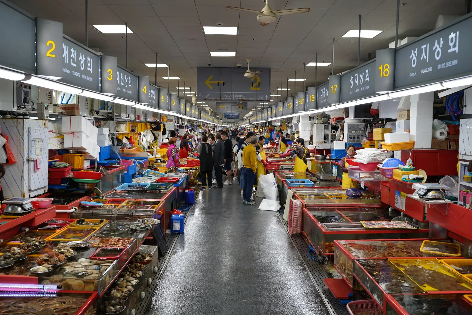 Visite du plus grand marché de poisson du pays 'Jagalchi Fish Market' et dîner à l'étage supérieur