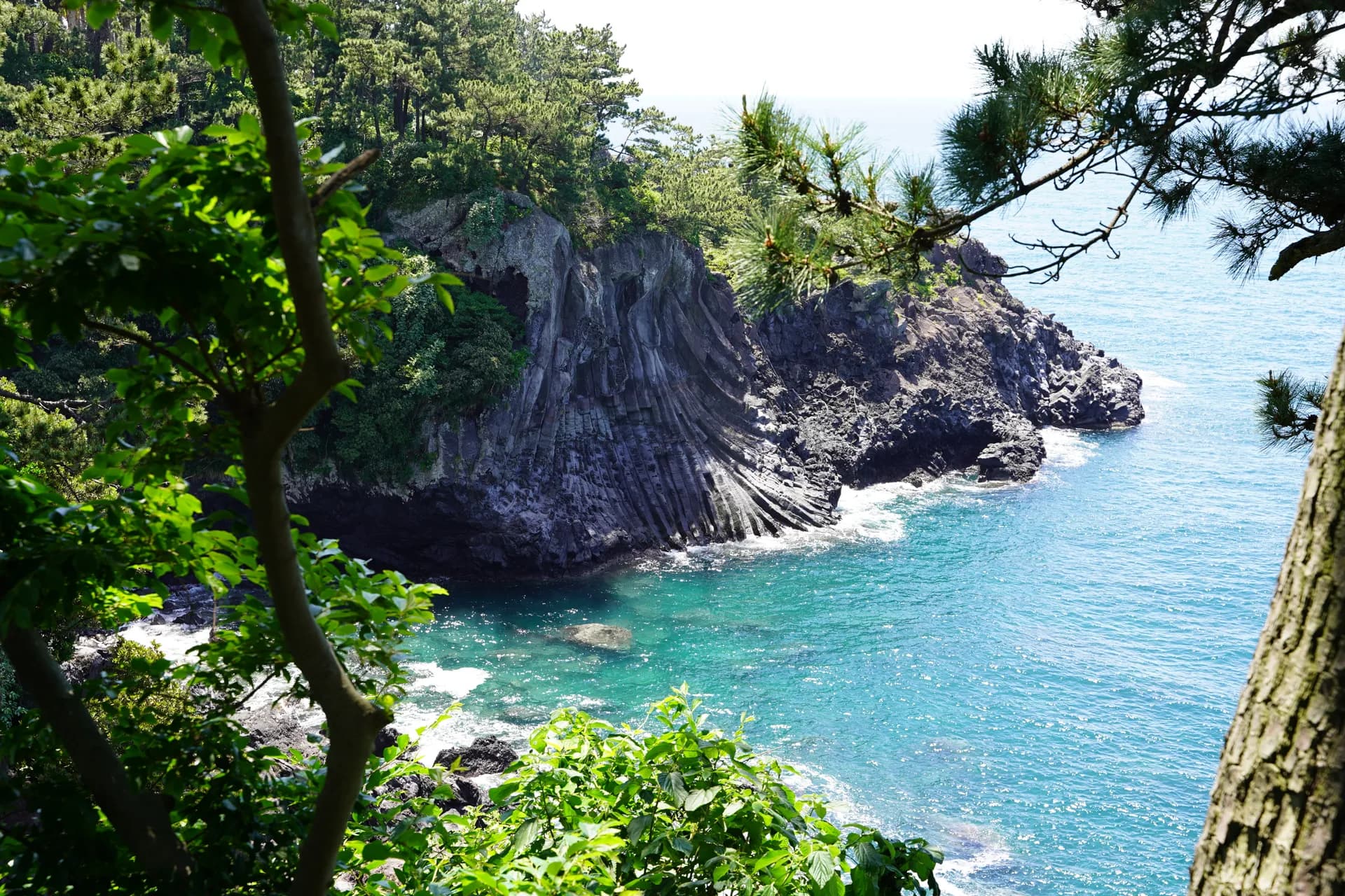 Ile de Jeju, région Sud - Transit en bus vers le sud de l'île pour 2 nuits à l'hôtel Mini Soul Hôtel 