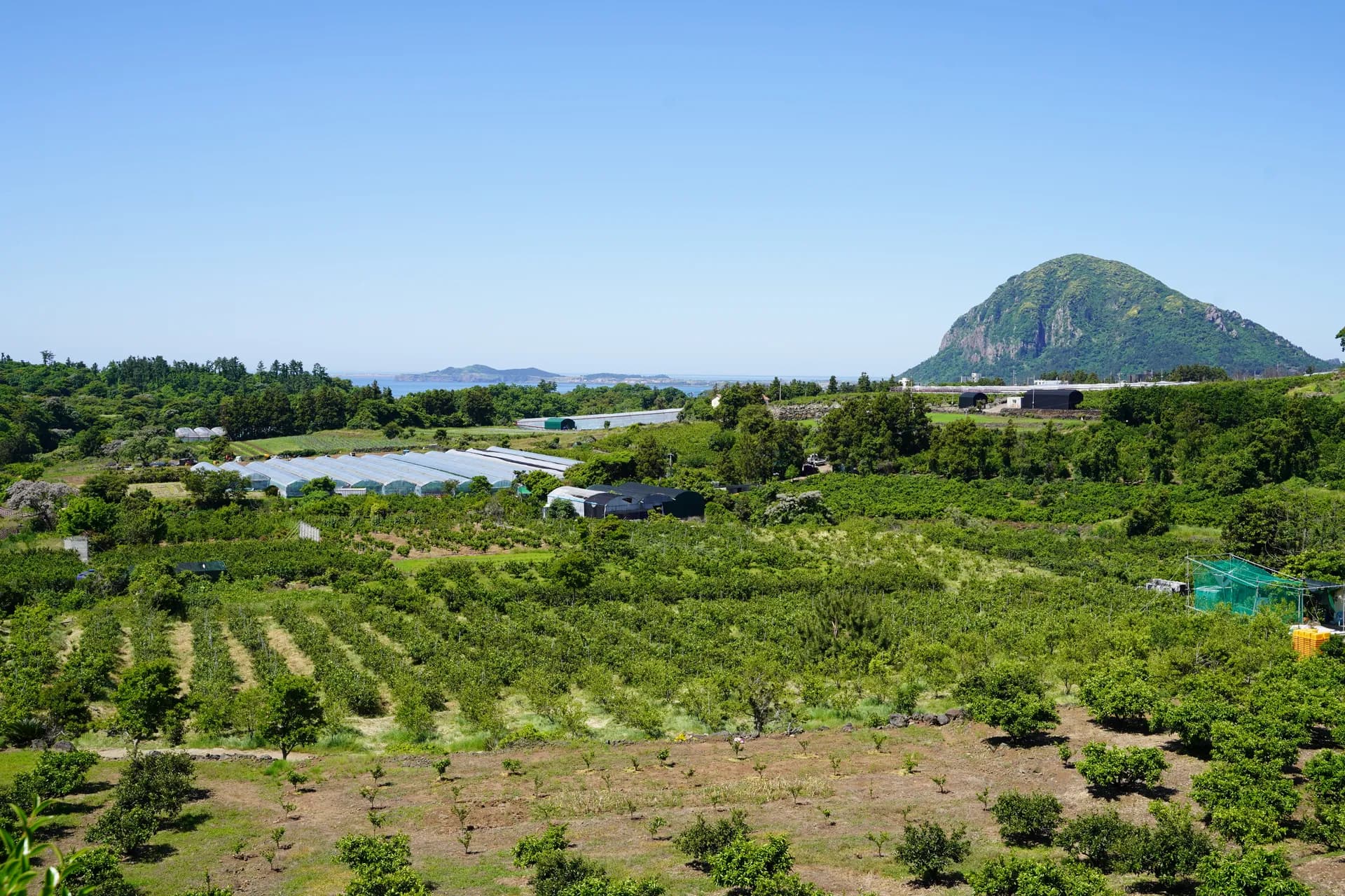 Olle Trail Section #9, rural side