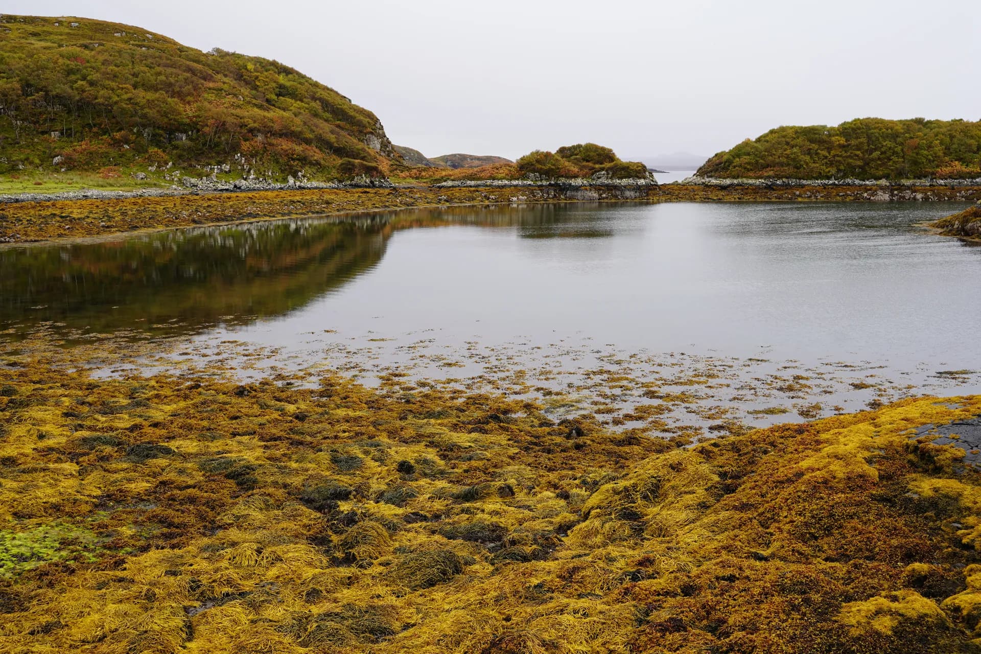 Bras de mer avec ses algues colorées le long de la route pittoresque NC500