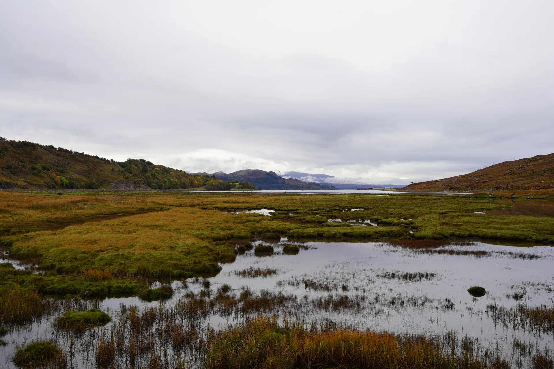 Paysage depuis le fond d'une baie