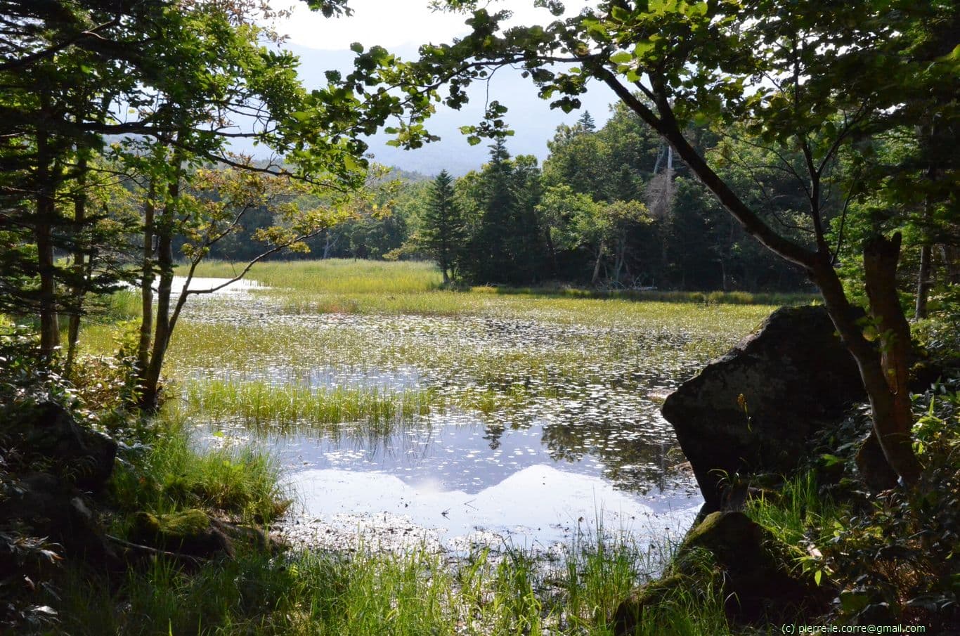 L'île d'Hokkaïdo au Japon : un trekking + quelques randonnées