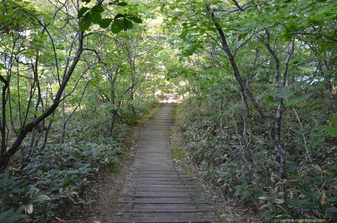 Sentier sur la péninsule Wakoto