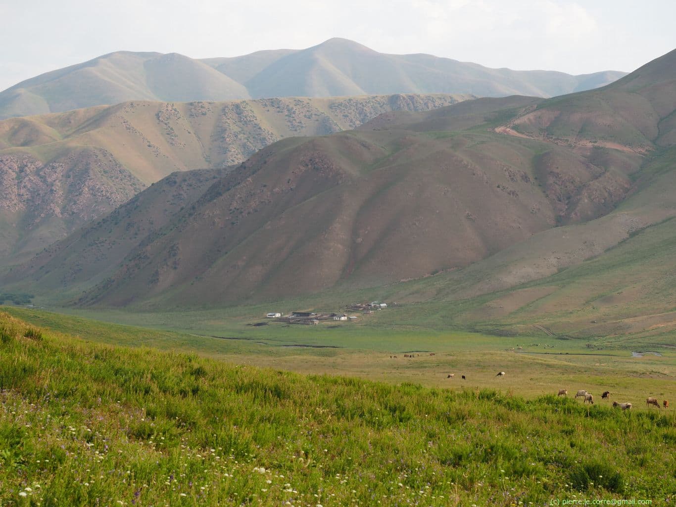 Vallée kirghize