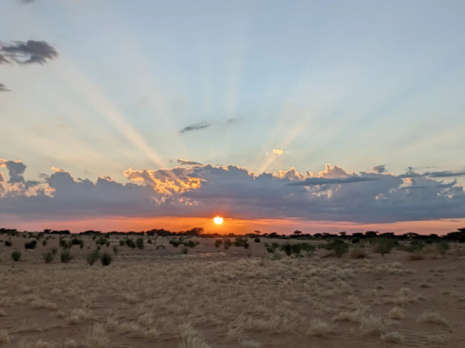 Sunset in the desert