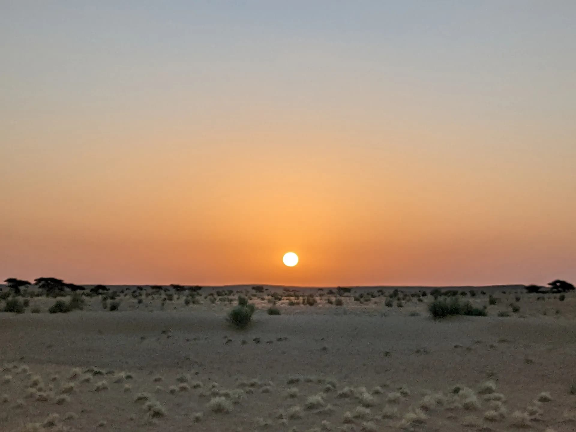 Sunrise in the desert