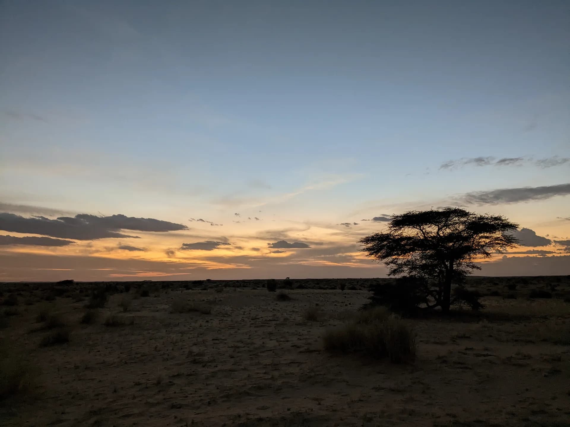 Sunset in the desert