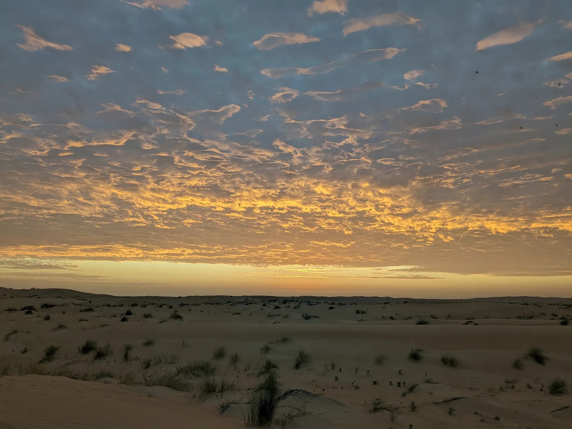 Dawn in the dunes