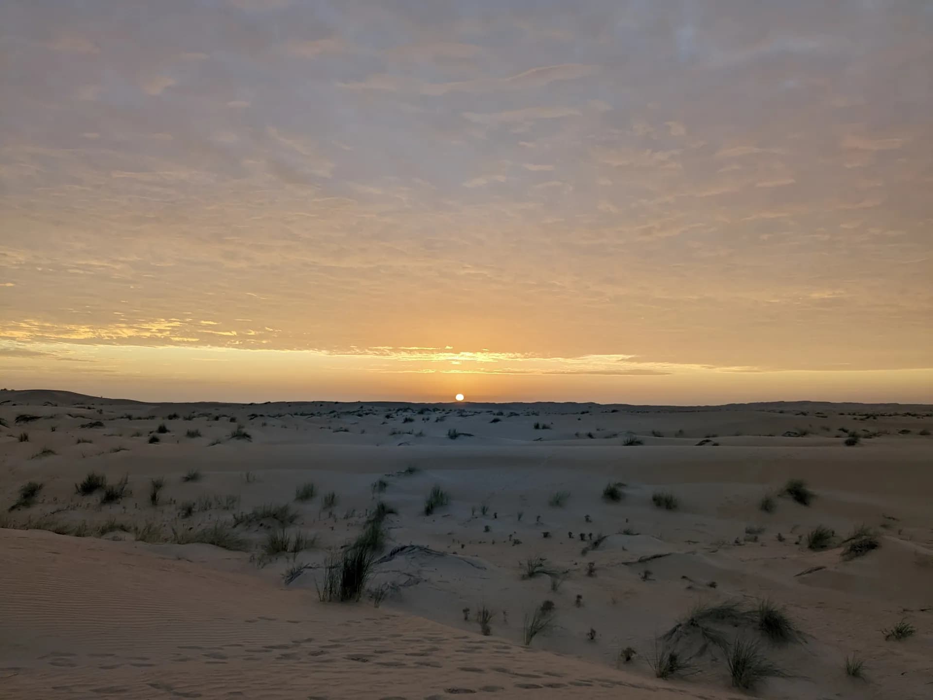 Sunrise in the dunes