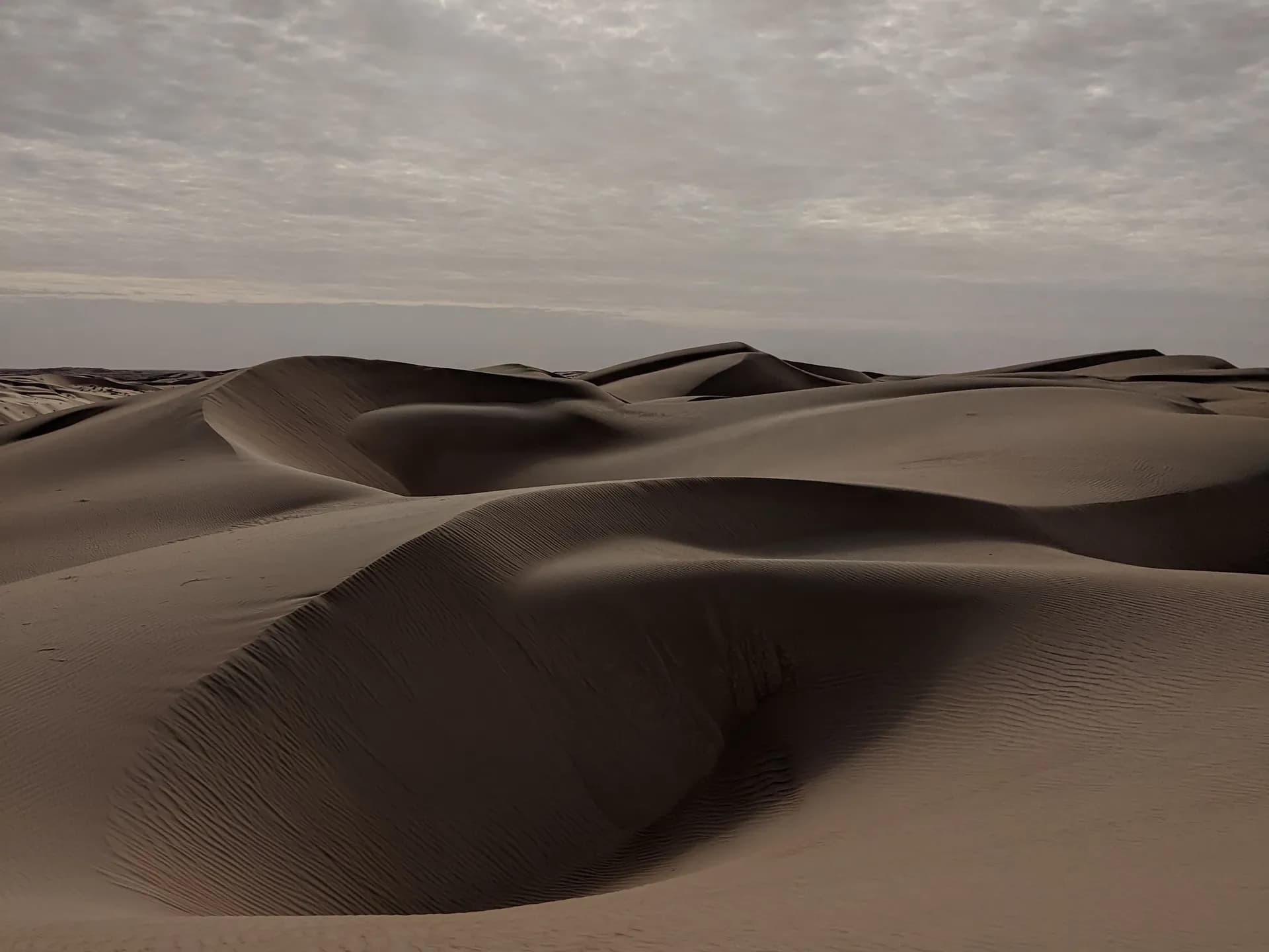 Dunes sculpted by the wind