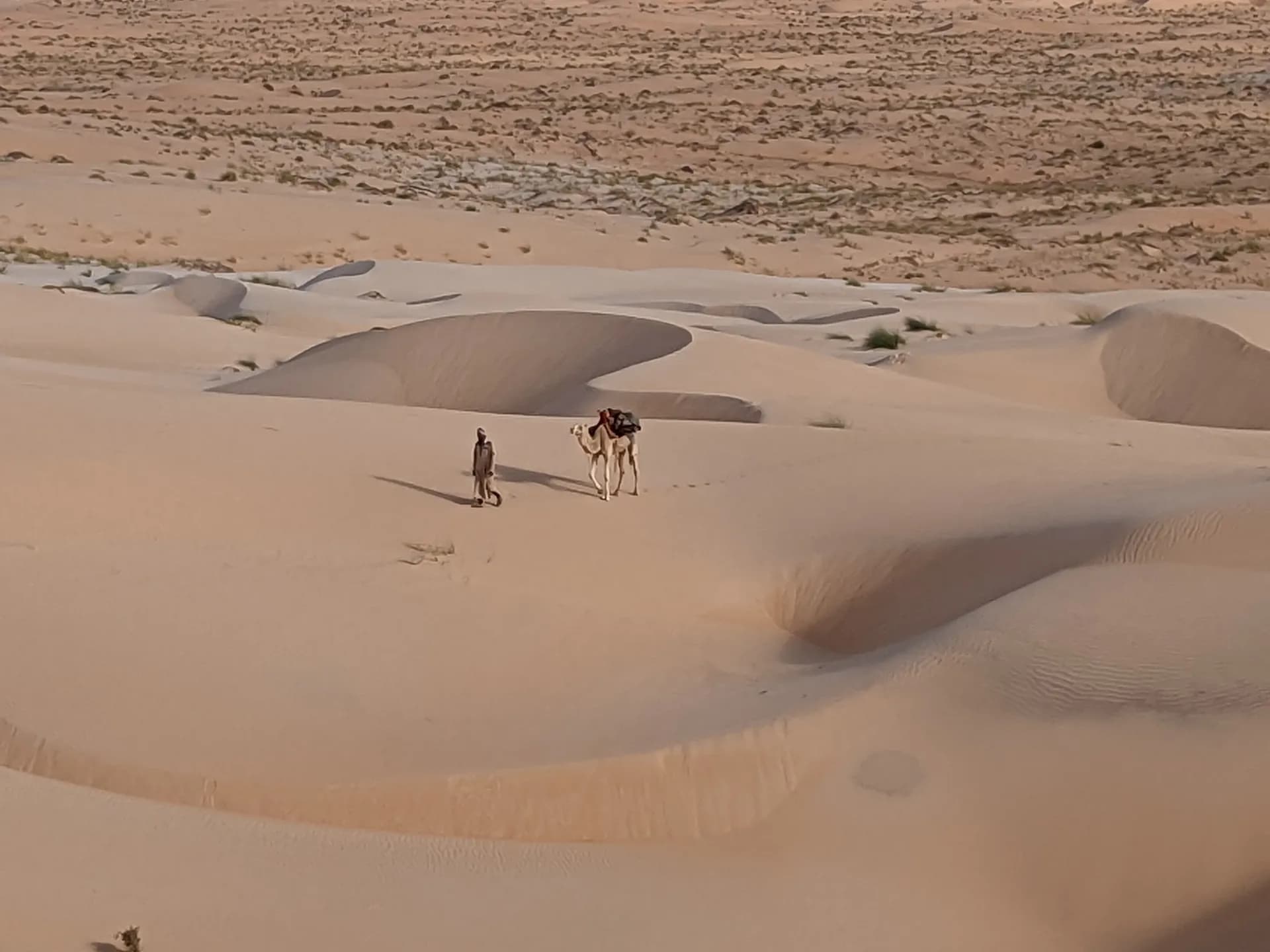 One of the guides with his camel (our broom wagon)