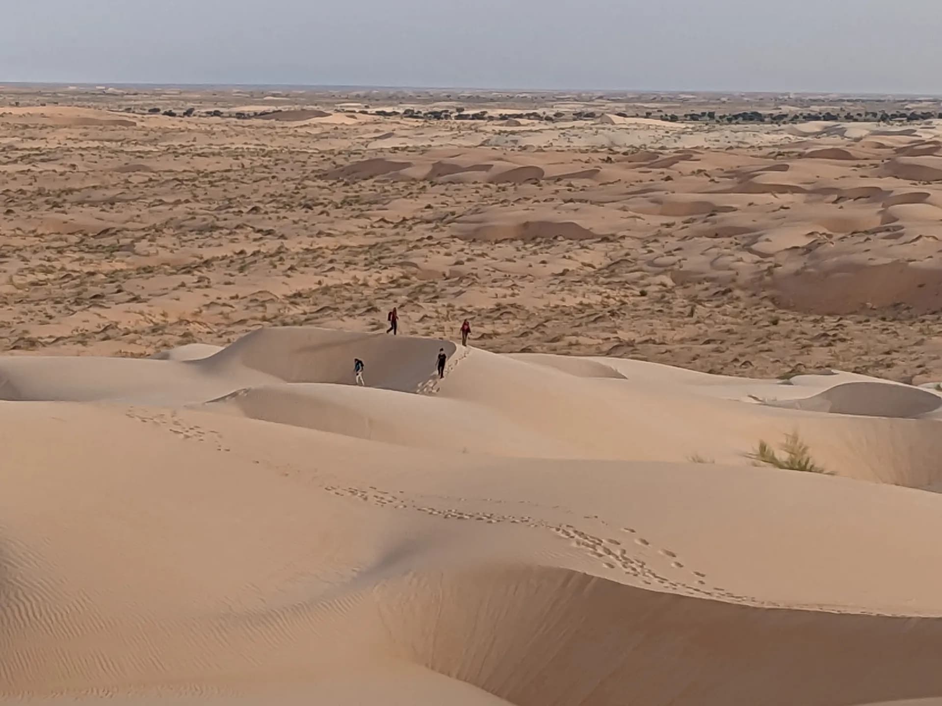 Part of the group of hikers walking in the dunes