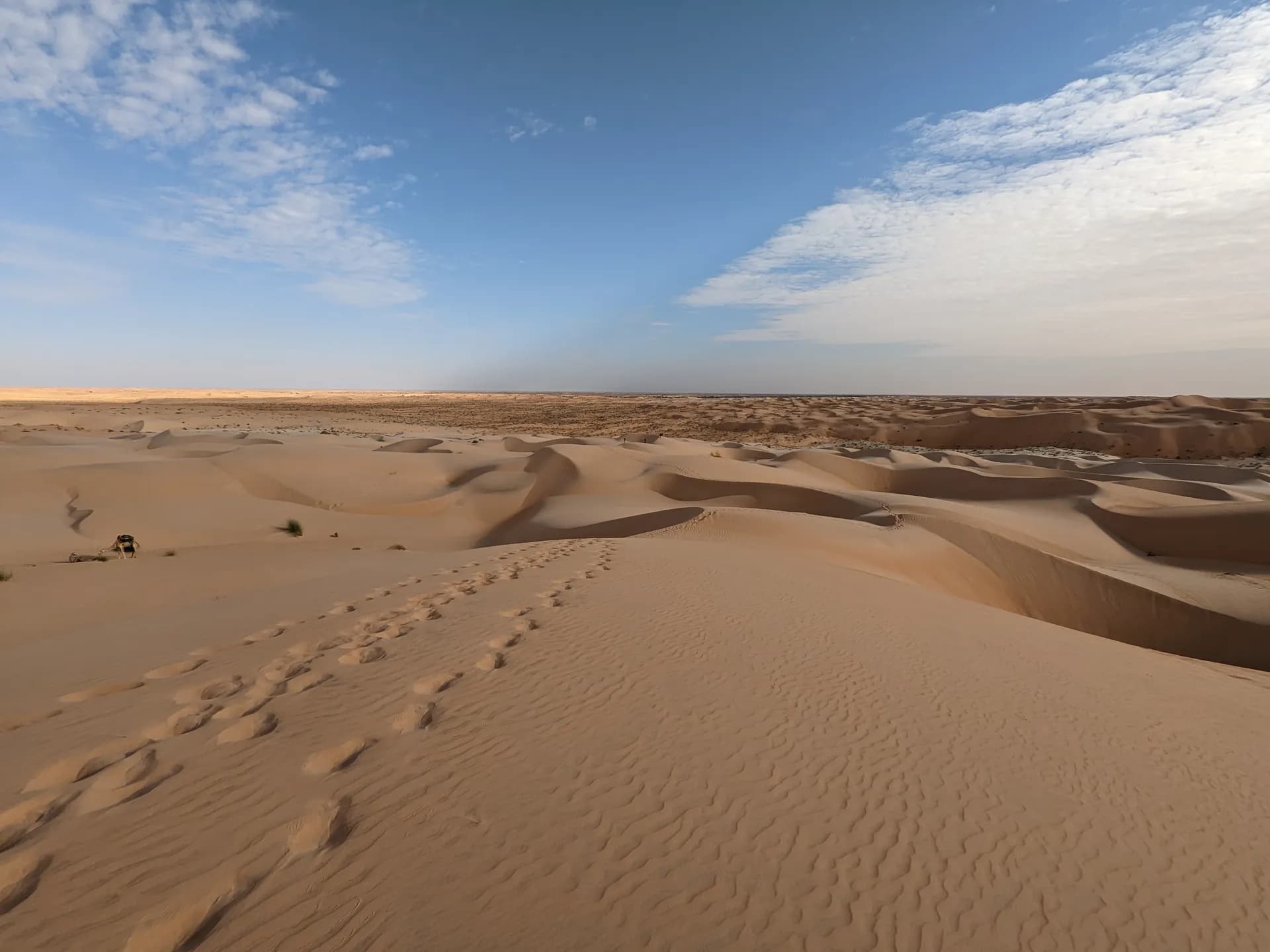 Our footprints in the dunes