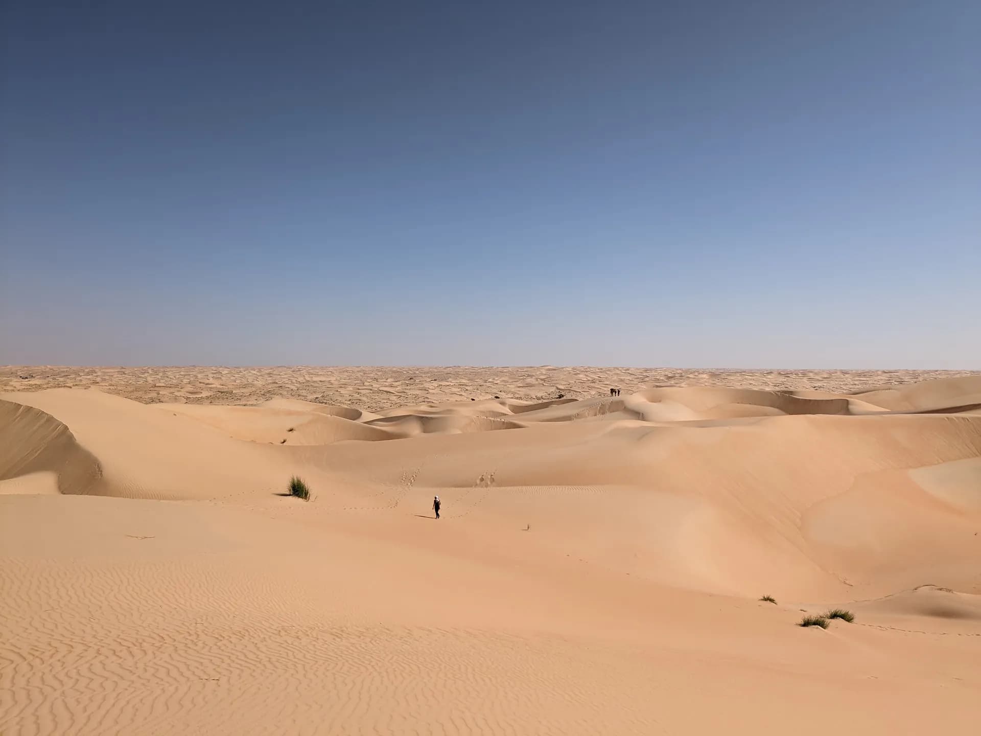 The immense Mauritanian desert