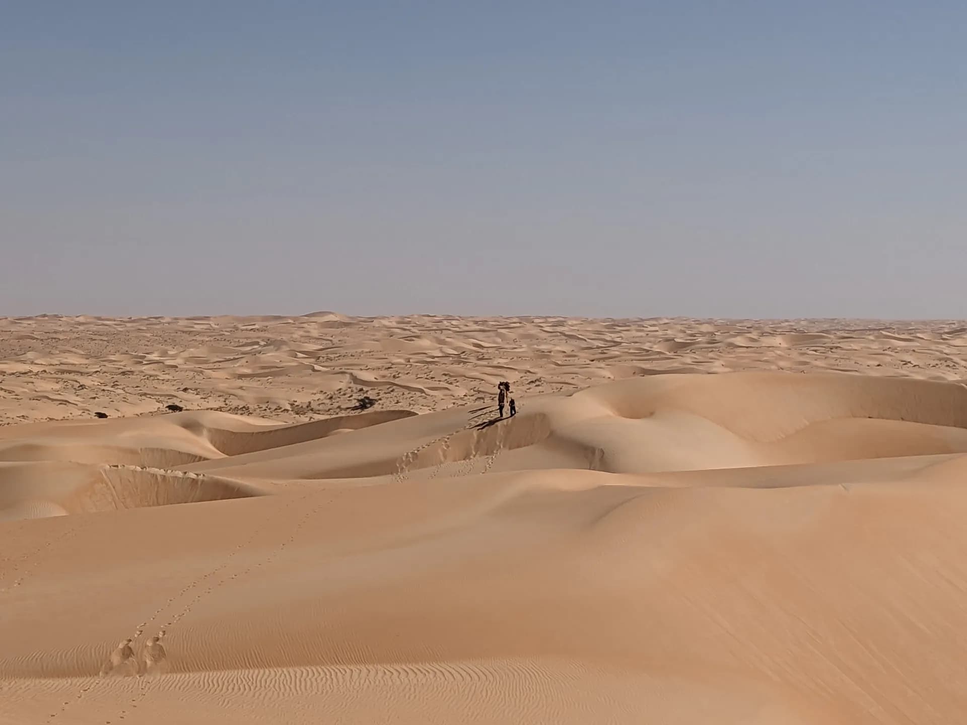 Progression in the immensity of the Mauritanian desert